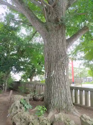 金刀比羅神社(千葉県)