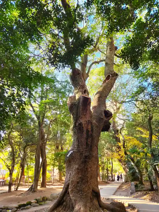 生田神社(兵庫県)