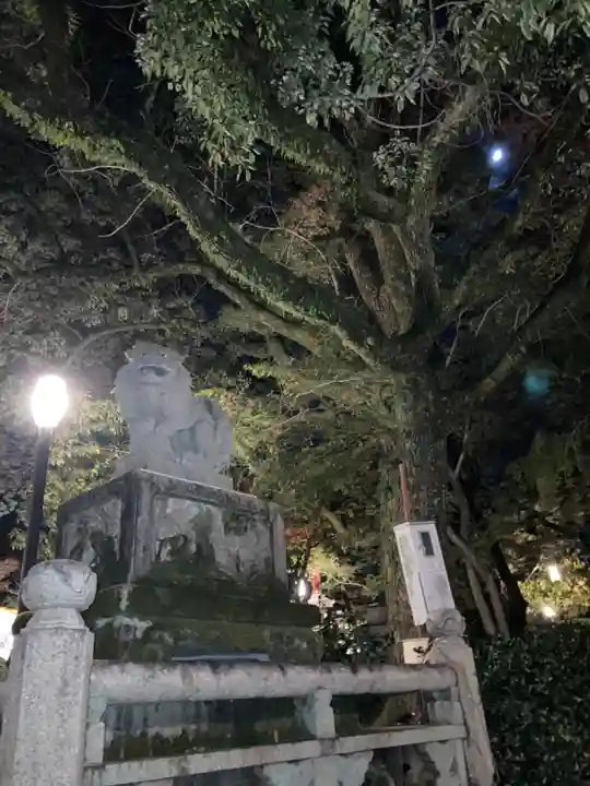 八坂神社(祇園さん)の狛犬