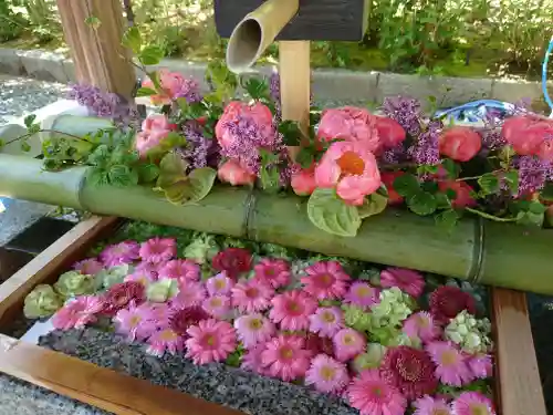 白山神社(新潟県)