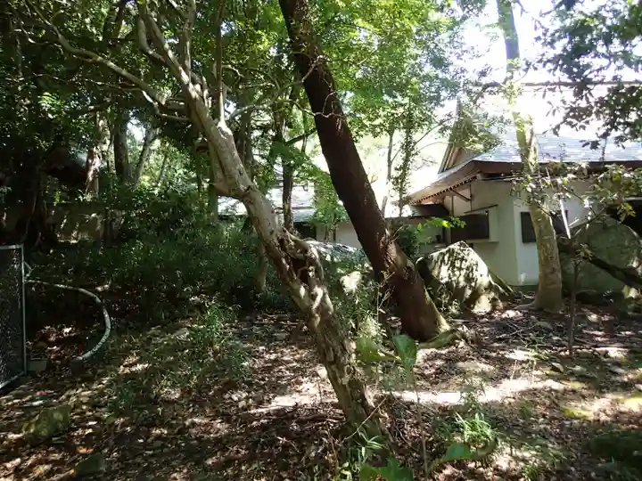 保久良神社の自然