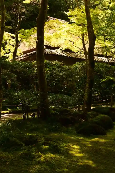 祇王寺(京都府)
