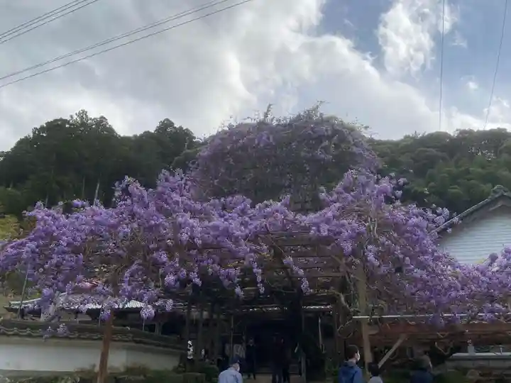 神光寺(徳島県)
