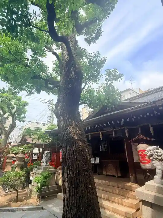 金刀比羅宮神戸分社(兵庫県)