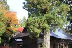 高司神社〜むすびの神の鎮まる社〜の建物その他