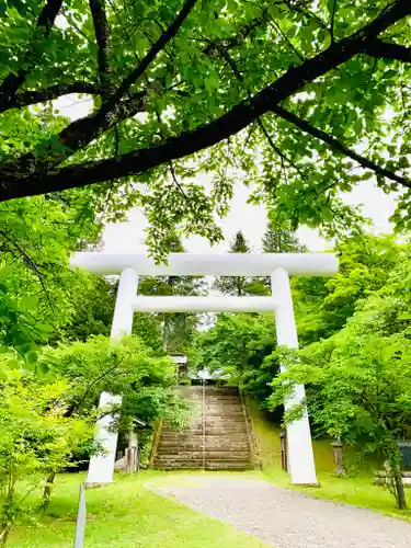 土津神社｜こどもと出世の神さまの鳥居