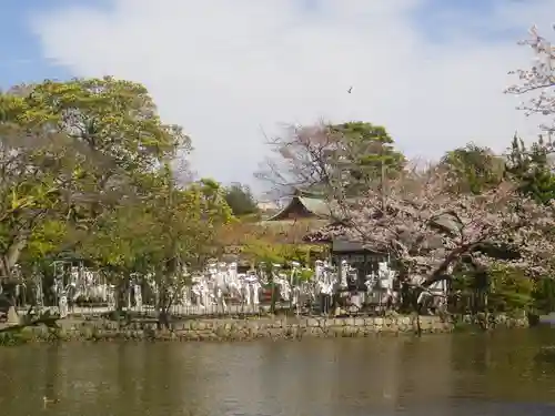 鶴岡八幡宮の庭園