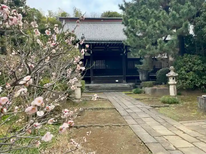 臨江寺の{uncategorized: "未分類", other: "その他", undefined: "問題あり", building: "その他建物", grave: "お墓", sacred_gate: "鳥居", guardian: "狛犬", statue: "像", buddha: "仏像", history: "歴史", nature: "自然", garden: "庭園", animal: "動物", pagoda: "塔", temizu: "手水舎", mountain_gate: "山門・神門", sanctuary: "本殿・本堂", subordinate: "末社・摂社", art: "芸術", scenery: "景色", jizo: "地蔵", ema: "絵馬", goshuin: "御朱印", omikuji: "おみくじ", items: "授与品その他", amulet: "お守り", goshuincho: "御朱印帳", eats: "食事", festival: "お祭り", votive_dance: "神楽", shichigosan: "七五三参", wedding: "結婚式", experience: "体験その他", initially: "初詣", around: "周辺", anti_infection: "感染症対策"}