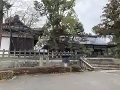 吉田神社の建物その他