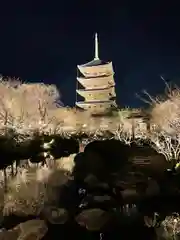 東寺（教王護国寺）(京都府)