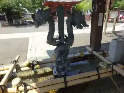 喜多院の手水舎