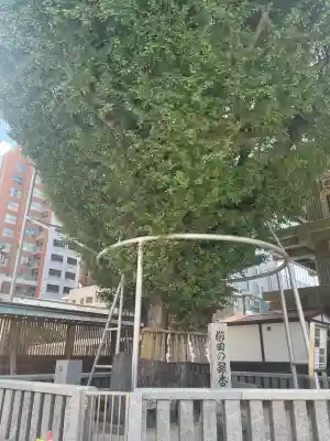 櫛田神社(福岡県)
