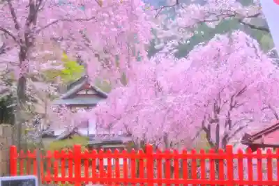 金櫻神社(山梨県)