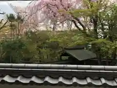 来迎寺(井戸来迎寺・紫雲山来迎寺)の本殿