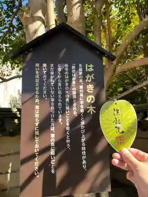 法起院(奈良県)