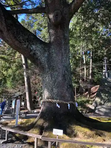 事任八幡宮の庭園