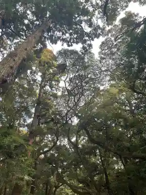 鹿島神宮(茨城県)