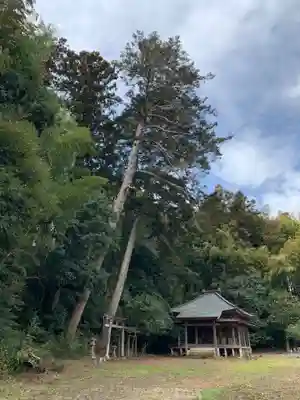 承天寺(千葉県)