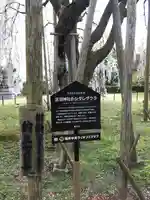 足羽神社の庭園