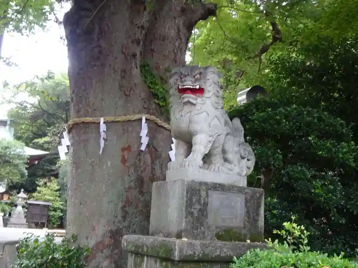 比々多神社の狛犬