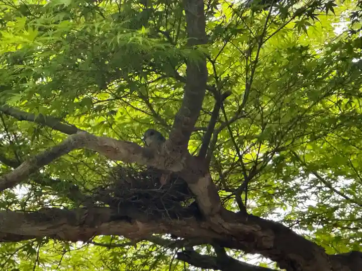 穴太寺(京都府)