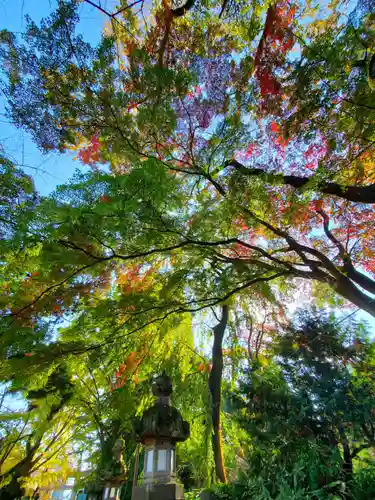 神炊館神社 ⁂奥州須賀川総鎮守⁂の自然