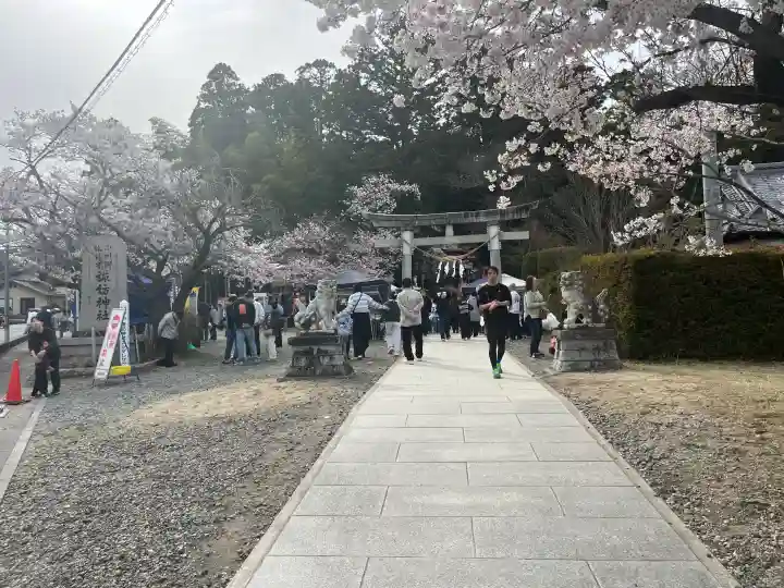 小川諏訪神社の{uncategorized: "未分類", other: "その他", undefined: "問題あり", building: "その他建物", grave: "お墓", sacred_gate: "鳥居", guardian: "狛犬", statue: "像", buddha: "仏像", history: "歴史", nature: "自然", garden: "庭園", animal: "動物", pagoda: "塔", temizu: "手水舎", mountain_gate: "山門・神門", sanctuary: "本殿・本堂", subordinate: "末社・摂社", art: "芸術", scenery: "景色", jizo: "地蔵", ema: "絵馬", goshuin: "御朱印", omikuji: "おみくじ", items: "授与品その他", amulet: "お守り", goshuincho: "御朱印帳", eats: "食事", festival: "お祭り", votive_dance: "神楽", shichigosan: "七五三参", wedding: "結婚式", experience: "体験その他", initially: "初詣", around: "周辺", anti_infection: "感染症対策"}