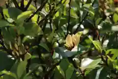 阿邪訶根神社の庭園