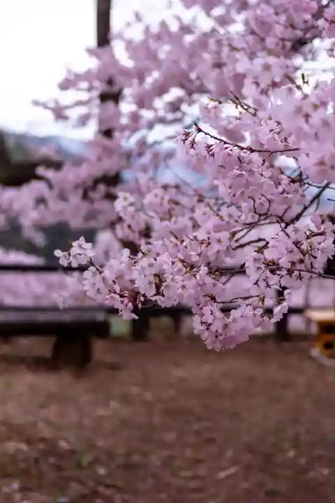 新城藤原神社(長野県)