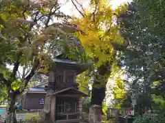 松尾寺(京都府)