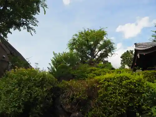 浅間神社のその他建物