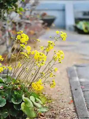 浄土寺(兵庫県)