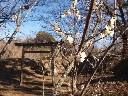 壽命院 永徳寺の鳥居