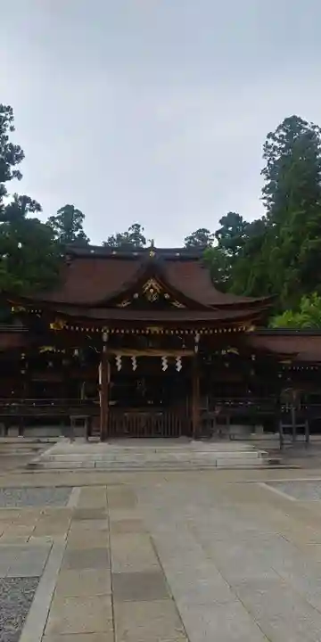 多賀大社の本殿・本堂