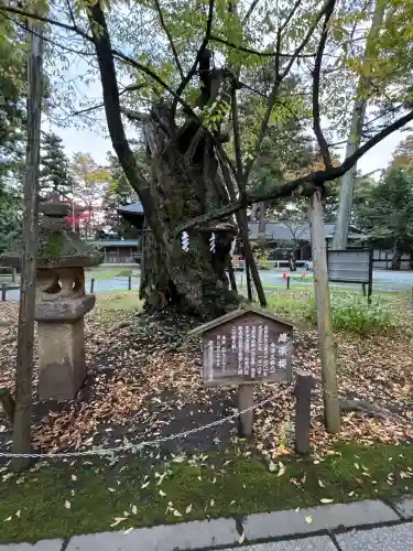 蠶養國神社(福島県)