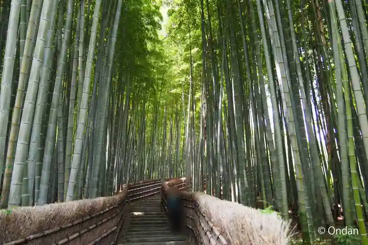 化野念仏寺(京都府)