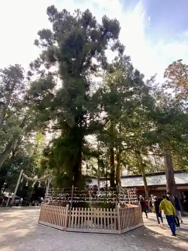 大神神社の自然