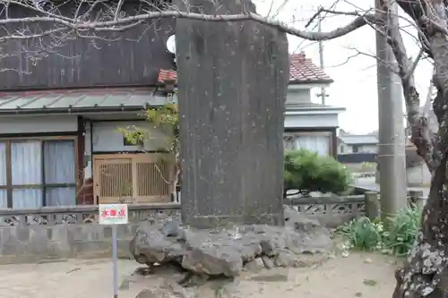 田間神社(千葉県)