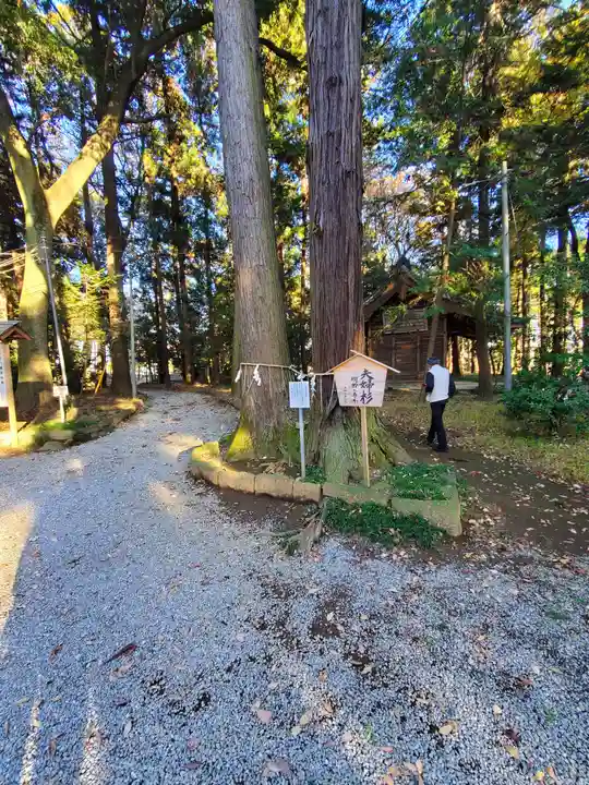 間々田八幡宮(栃木県)