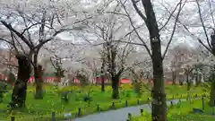 平野神社の自然