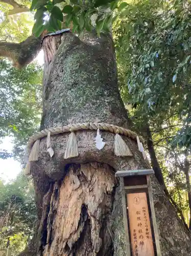 松阪神社(三重県)