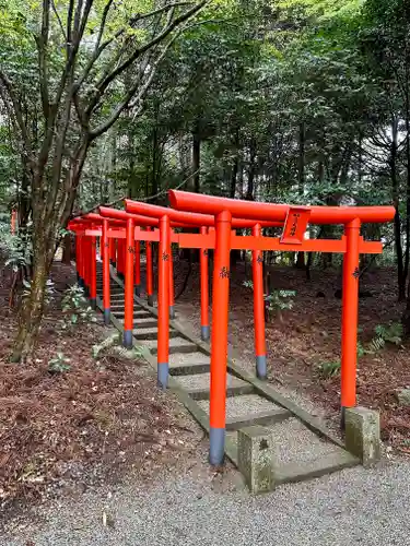 高鴨神社の鳥居