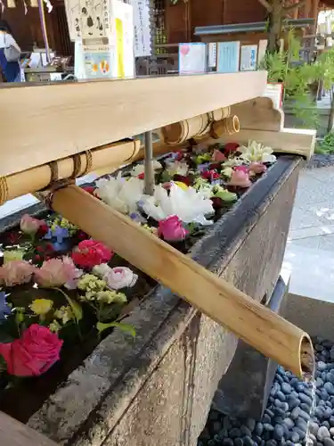 鳩森八幡神社の手水