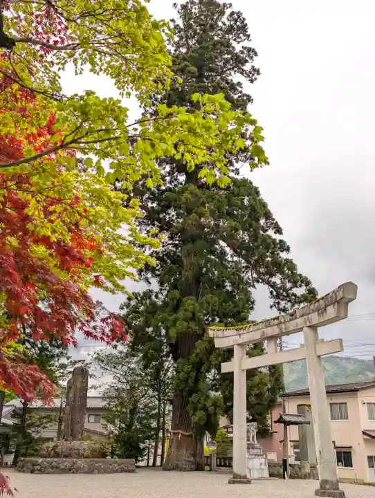 飛驒一宮水無神社(岐阜県)