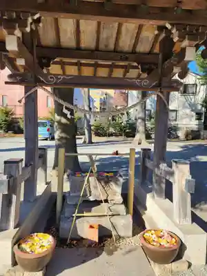 相模原氷川神社(神奈川県)