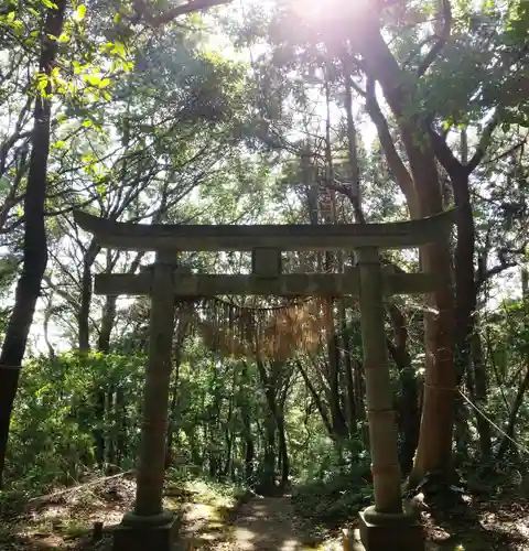 稲荷神社の鳥居