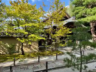 大仙院(京都府)