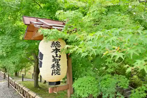  智積院のその他建物