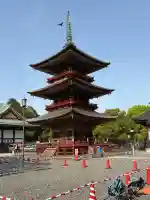 成田山新勝寺の{uncategorized: "未分類", other: "その他", undefined: "問題あり", building: "その他建物", grave: "お墓", sacred_gate: "鳥居", guardian: "狛犬", statue: "像", buddha: "仏像", history: "歴史", nature: "自然", garden: "庭園", animal: "動物", pagoda: "塔", temizu: "手水舎", mountain_gate: "山門・神門", sanctuary: "本殿・本堂", subordinate: "末社・摂社", art: "芸術", scenery: "景色", jizo: "地蔵", ema: "絵馬", goshuin: "御朱印", omikuji: "おみくじ", items: "授与品その他", amulet: "お守り", goshuincho: "御朱印帳", eats: "食事", festival: "お祭り", votive_dance: "神楽", shichigosan: "七五三参", wedding: "結婚式", experience: "体験その他", initially: "初詣", around: "周辺", anti_infection: "感染症対策"}