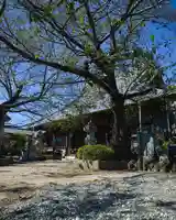 退魔寺(厄除茂呂不動尊)(群馬県)